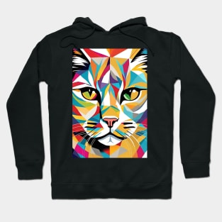 Cat Popart Rainbow Graffiti Portrait Hoodie